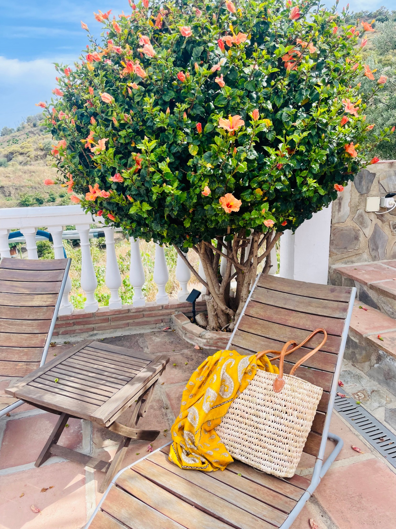 Sun loungers beneath a flowering hibiscus tree on the terrace at Villa Sunshine